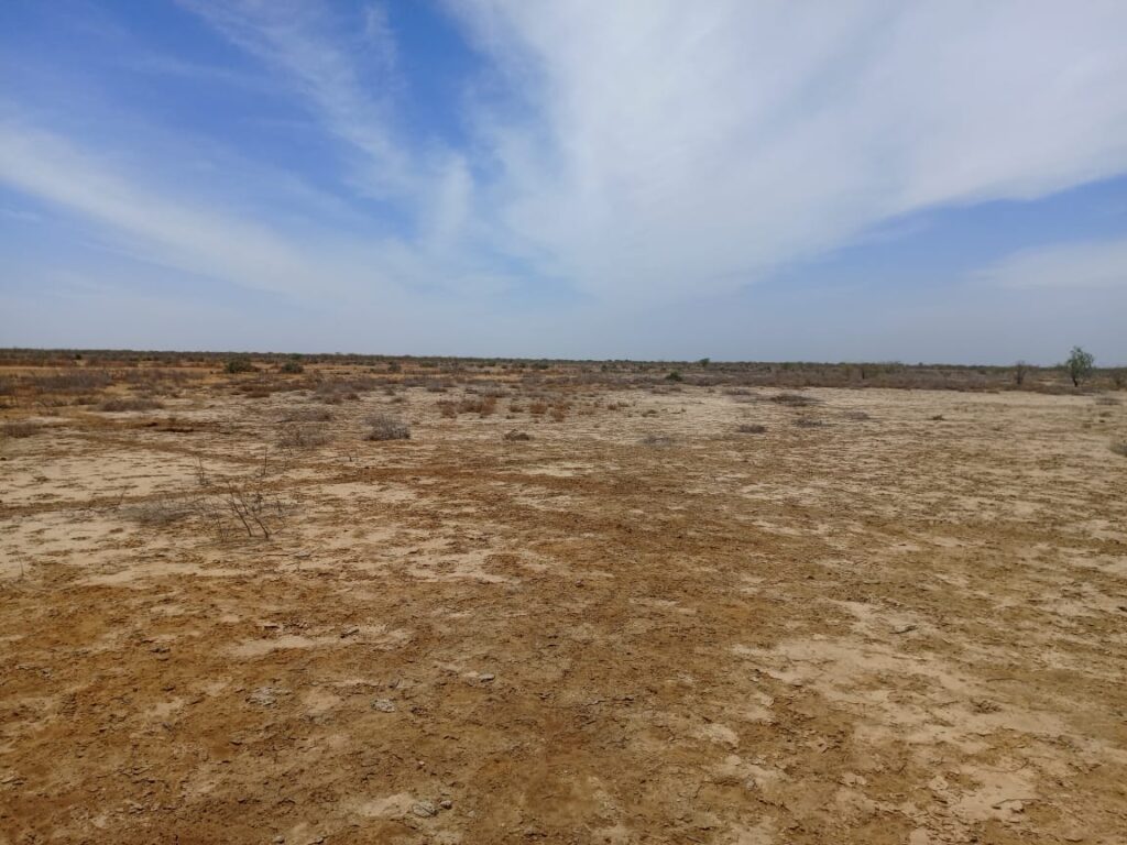 Grand surface de 200 hectares vers Diama – Saint Louis