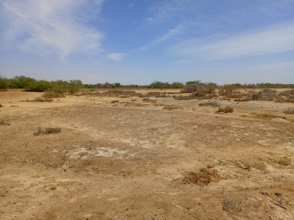Grand surface de 200 hectares vers Diama – Saint Louis