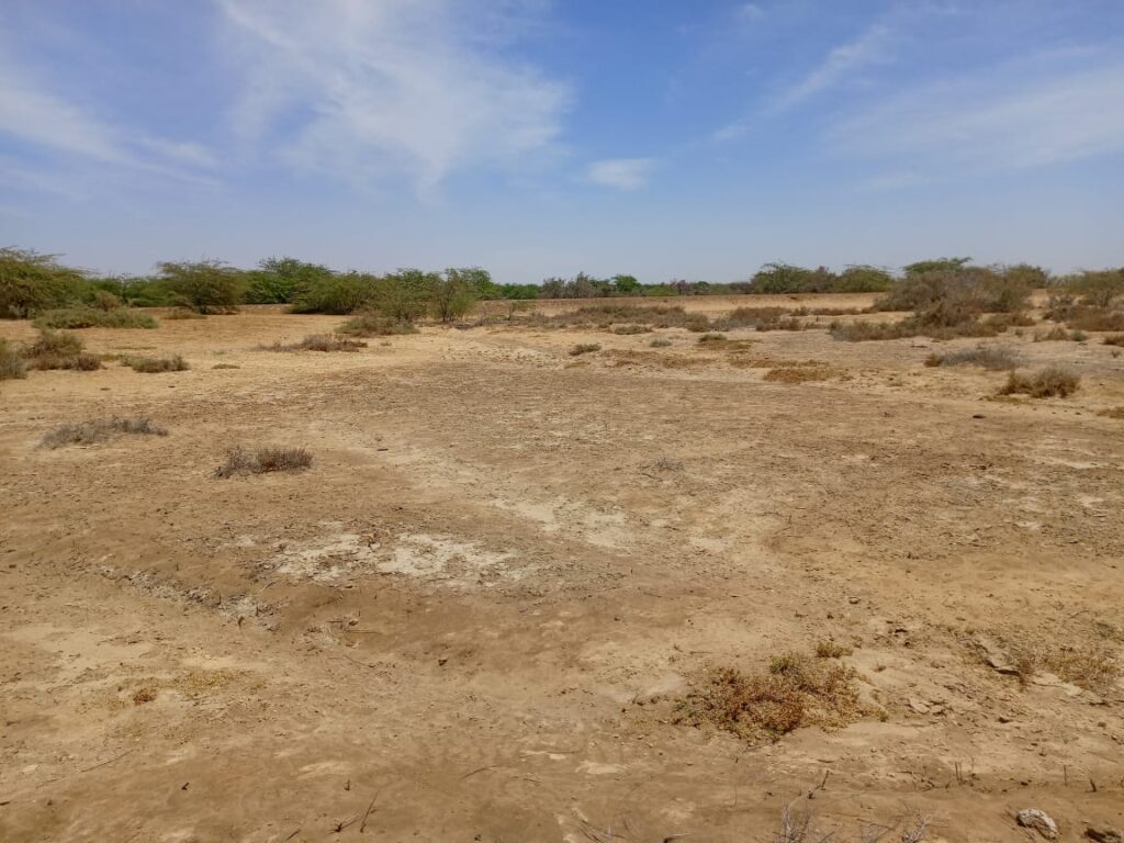 Grand surface de 200 hectares vers Diama – Saint Louis