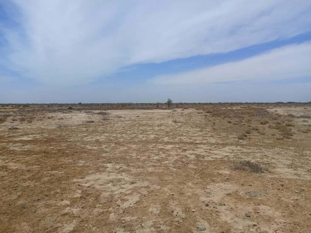 Grand surface de 200 hectares vers Diama – Saint Louis
