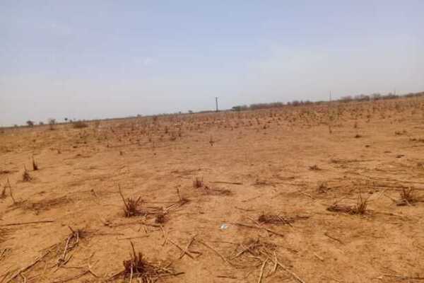 Terrain Agricole de 8.551 m² vers Notto Diobass