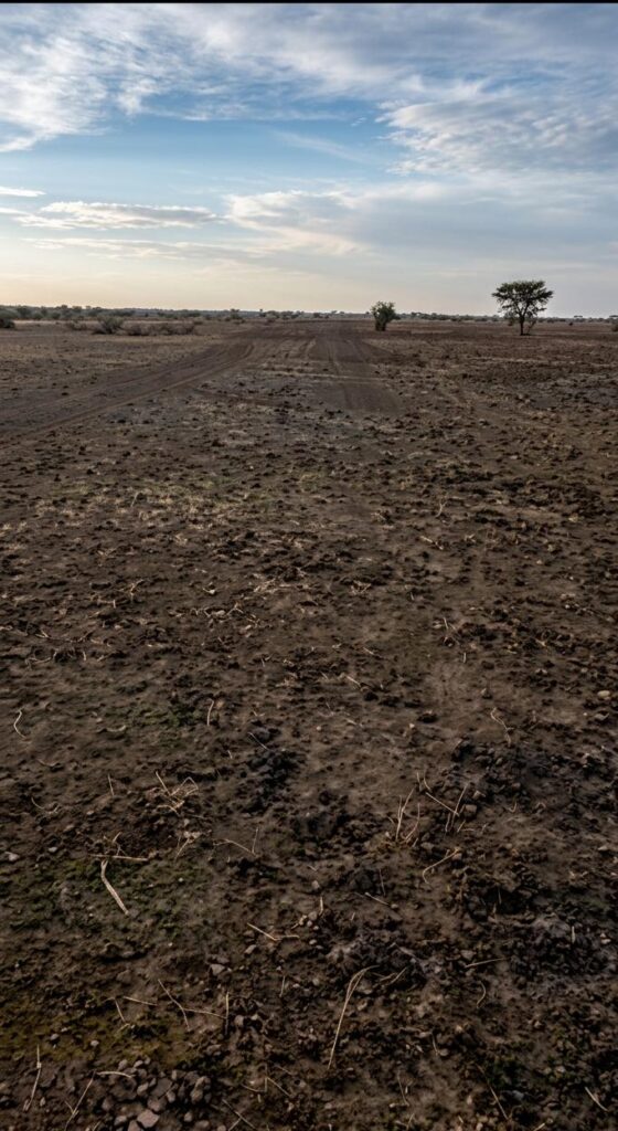 Terrain Agricole exceptionnel de 51 hectares vers Ross Béthio – Saint-Louis