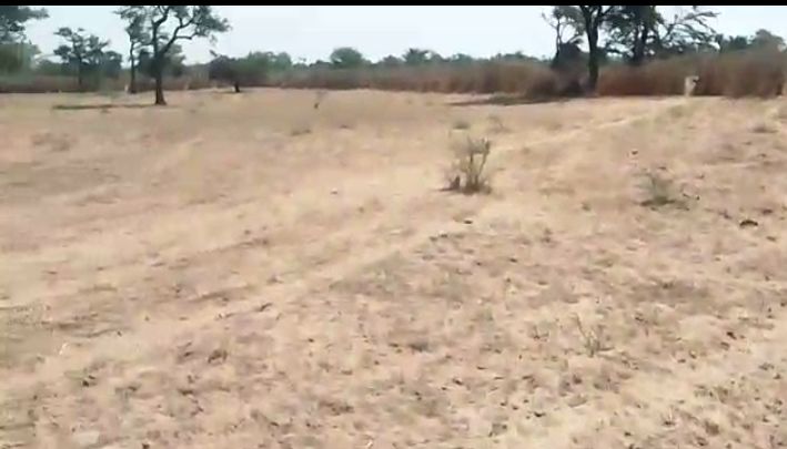 Terrain Agricole de 6.800 m² vers Notto Diobass – Thiès