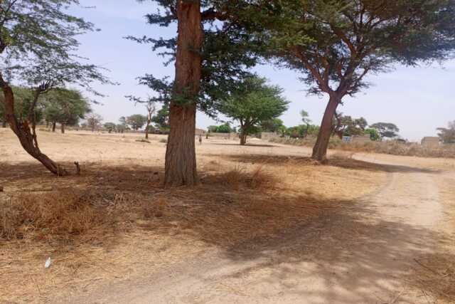 Terrain Agricole de 3,12 hectares vers Tassette – Thiès