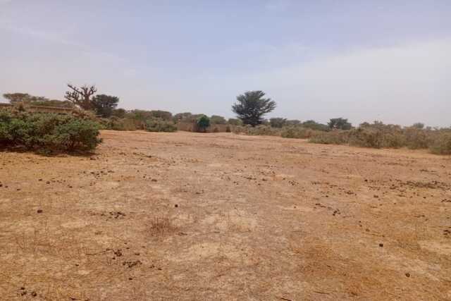 Terrain Agricole de 3,12 hectares vers Tassette – Thiès